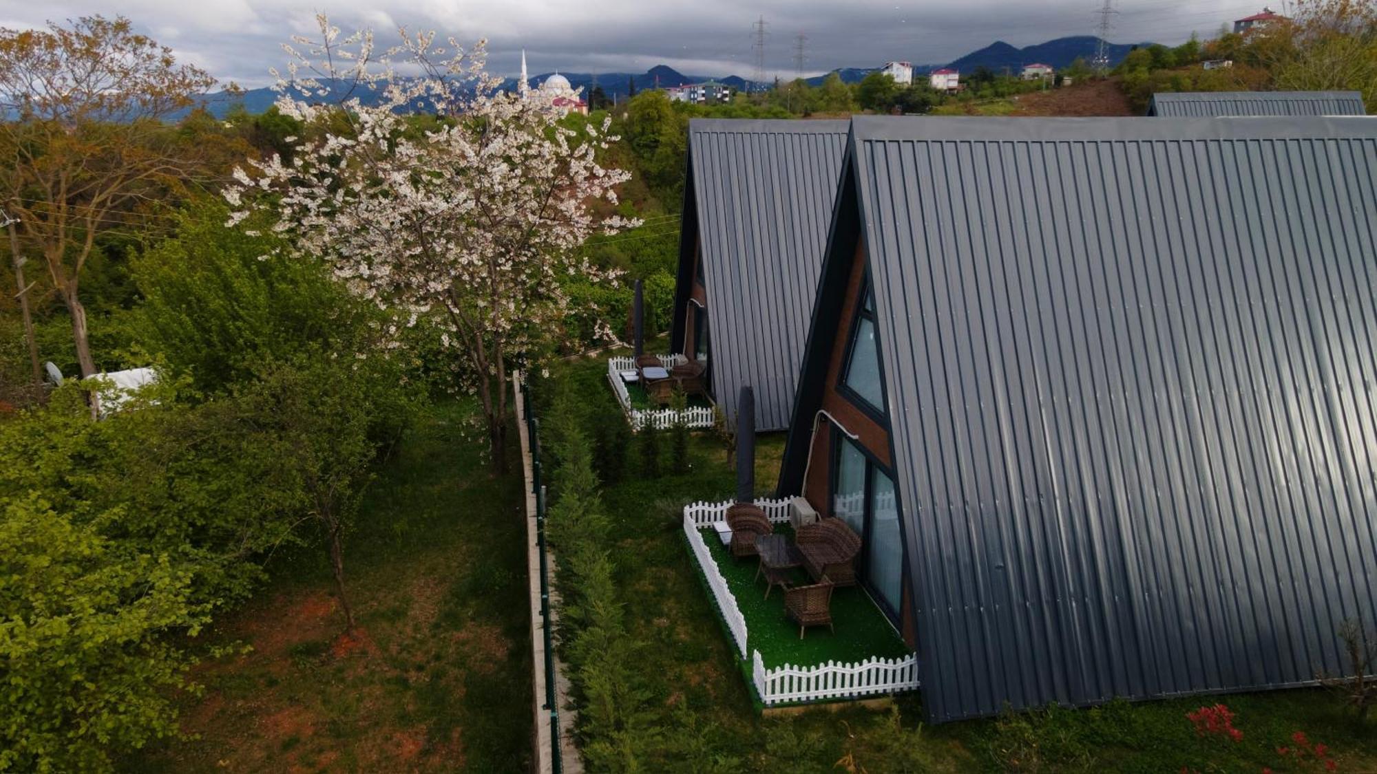 Ganita Travel Bungalov トラブゾン エクステリア 写真